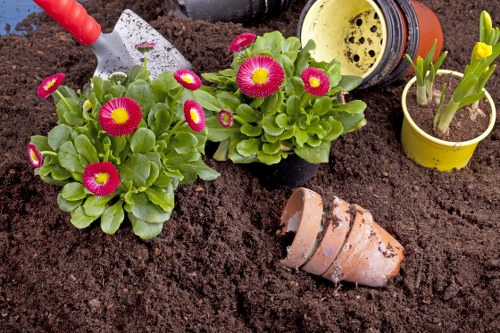 Illustration of accessible Gardeners Spitalfields content on a screen