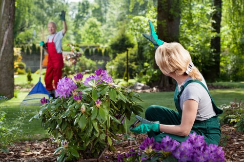 Seasonal lawn maintenance for a Spitalfields property