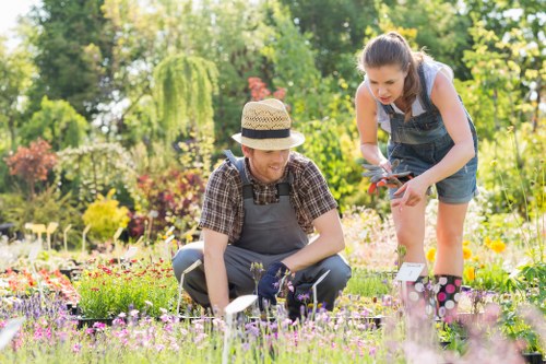 Customer concern being reviewed in a gardening service