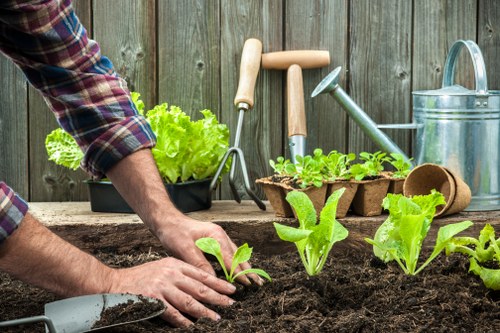 Gardeners Spitalfields designing a charming urban garden