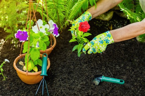 Professional gardening services in Spitalfields for urban outdoor spaces