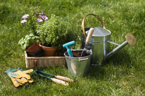 Aeration and soil improvement for lawn care in Spitalfields