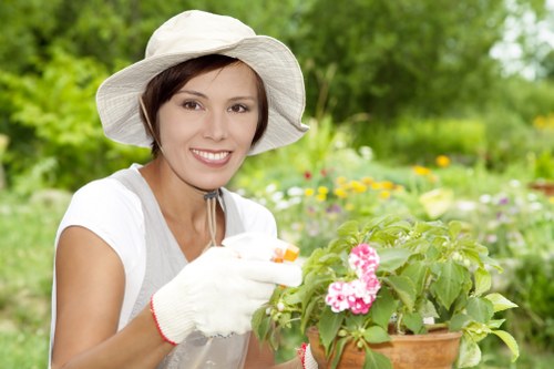 Response stage in a gardening complaints procedure