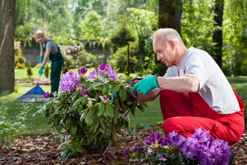 Professional garden care in Spitalfields focused on layout, planting, and atmosphere