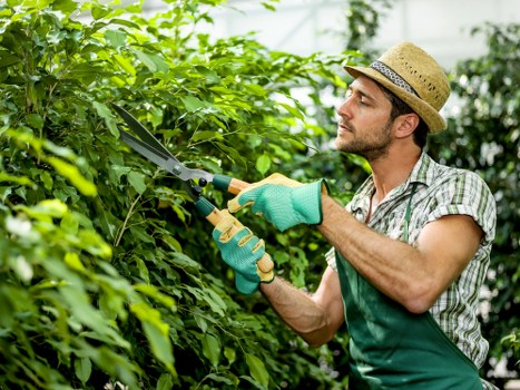 Gardeners Spitalfields annual modern slavery review process