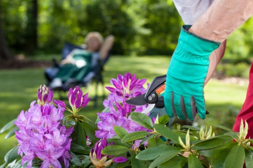 Removing green waste and debris during garden clearance
