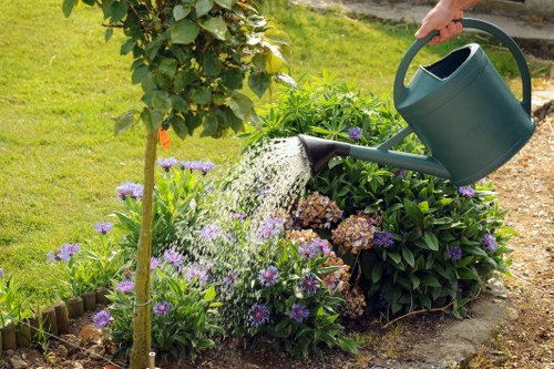 Seasonal lawn maintenance in Spitalfields for urban gardens