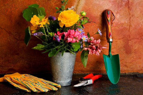 Assessment of a garden service complaint with documentation