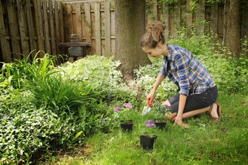 Low-carbon van used for sustainable garden waste collection