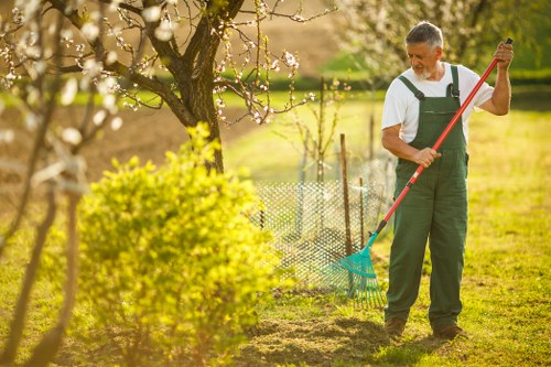 Professional tree maintenance near buildings in Spitalfields