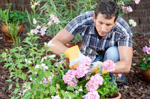 Local recycling sorting for garden materials in an inner London borough