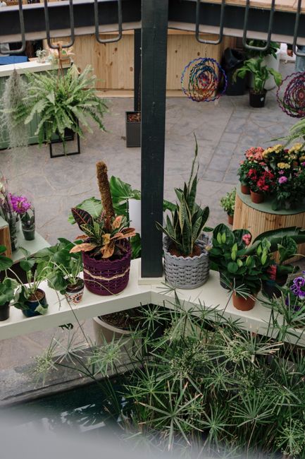 Case study terrace makeover at Spitalfields Market by gardeners