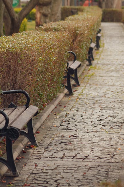 Top Spitalfields gardeners for same day hedge trimming quotes